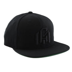EDM Clothing, Snapback, Fitted, Hat, Strapback, Rave Apparel, Rave Shirt, EDM Shirt, Festival Clothing, EDM T-Shirt, Dance Music, Electronic Dance Music, EDC, Graphic Tee, Ultra, Insomniac