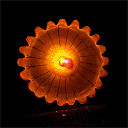 LED Daisy Pins Bundle