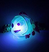LED Fish Bracelet