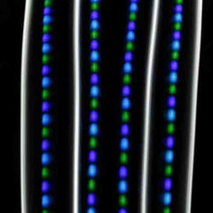 Emazing Lights, Lightshows, Showmeyourtrails, LED, Glove Set