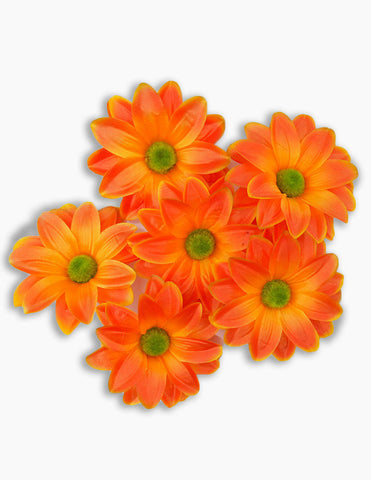 Jumbo Flower Bundle Pack