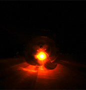 LED Whale Bracelet